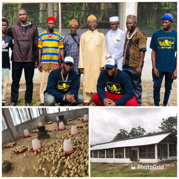 Cluck-Cluck Poultry starts Operation in Sierra Leone