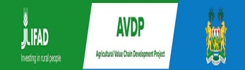 AVDP: Re: Invitation for Bids-Supply and Delivery of Plantain Suckers