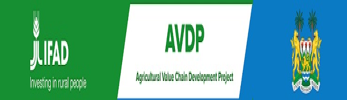 AVDP: Invitation for Bids- Re: SUPPLY AND DELIVERY OF POLYTHENE BAGS FOR MAIN COCOA AND OIL PALM NURSERIES